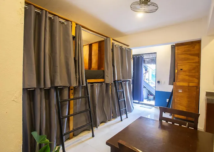 Maui hostel playa del carmen